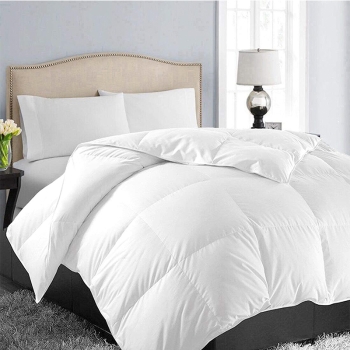 Duvet Vs Quilt